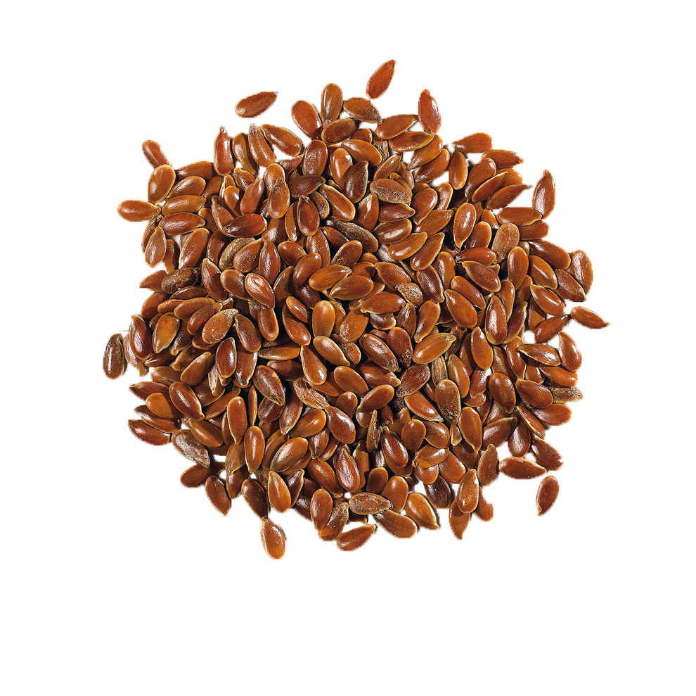 Seeds