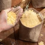 GranoFoods Premium Corn Flour (Makai Ka Atta) - 100% Pure and Nutritious