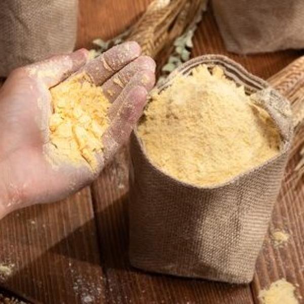 GranoFoods Premium Corn Flour (Makai Ka Atta) - 100% Pure and Nutritious