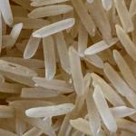 Sella 1121 Steamed Rice Premium Quality